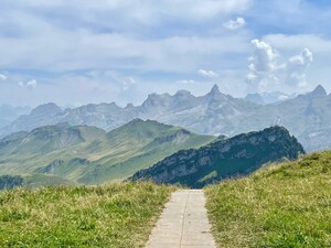 Bild 9_1sntf1krm0sv2.jpg